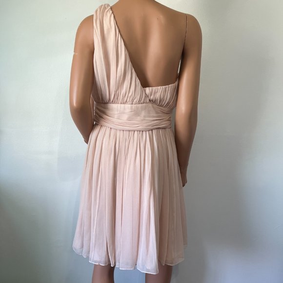 Coren Moore Hannah Chiffon Dress Blush Pink Size 10 NWT - Picture 2 of 7